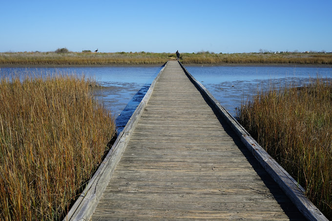 The Galveston Island State Park